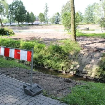 Postęp prac rewaloryzacyjnych w parku Świętojańskim [zdjęcia i film]