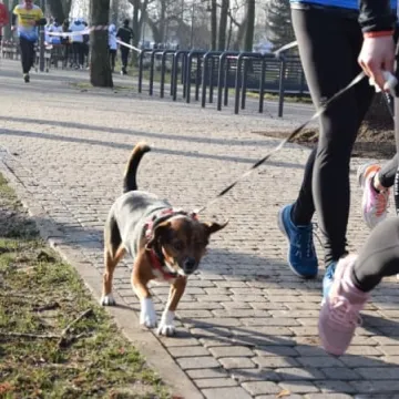 WOŚP 2020. 3. Bieg „Policz się z cukrzycą” w Radomsku