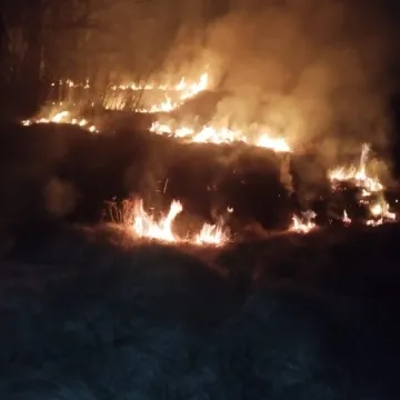 Koszty gaszenia pożarów traw liczone w tysiącach złotych