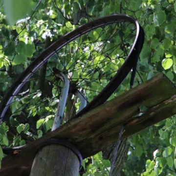 Zdobyli fotograficzne szlify