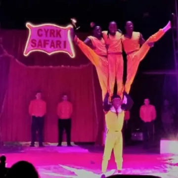 Zgarnij wejściówkę do Cyrku Safari