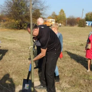 Sto drzew na stulecie