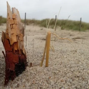 Foto Pozytyw nad morzem