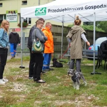 Zaczipowano blisko 30 zwierzaków