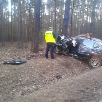 19-latek wjechał czołowo w drzewo