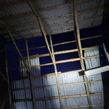 Nawałnica przeszła przez region. Powalone drzewa, uszkodzone dachy