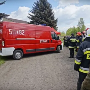 Ćwiczenia na wypadek ptasiej grypy