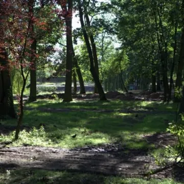 Trwają prace rewitalizacyjne w parku Świętojańskim