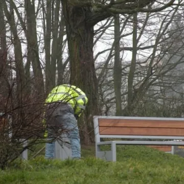 Nowe ławki i kosze w Parku Solidarności