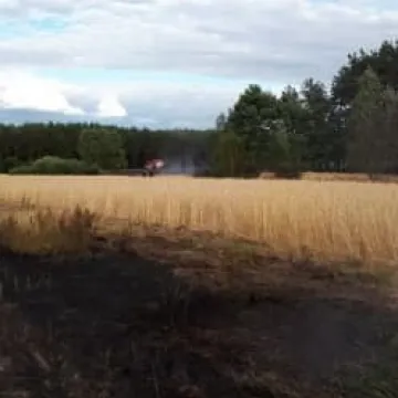Pożar zboża między Przerębem a Bartodziejami