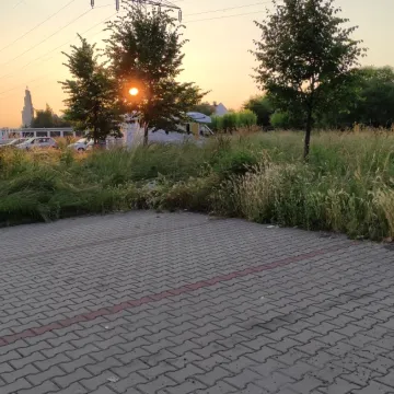 Betonoza kontra łąki kwietne