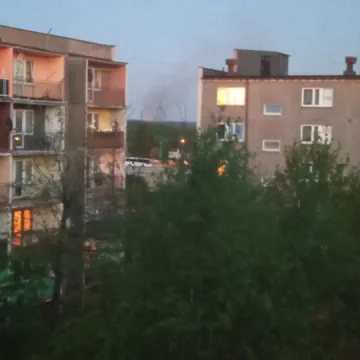 Trwa akcja gaszenia pożaru lasu w okolicy Suchej Wsi