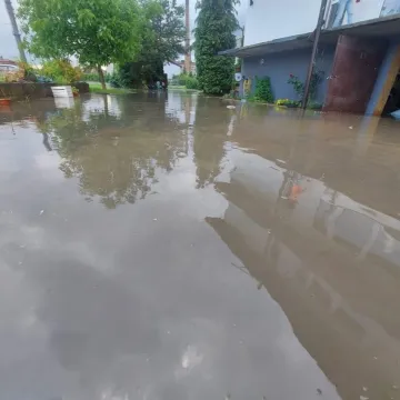 Mieszkanka ul. Krasickiego: Od 20 lat nikt z tym nic nie robi!