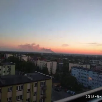 Spłonęło 5 hektarów traw