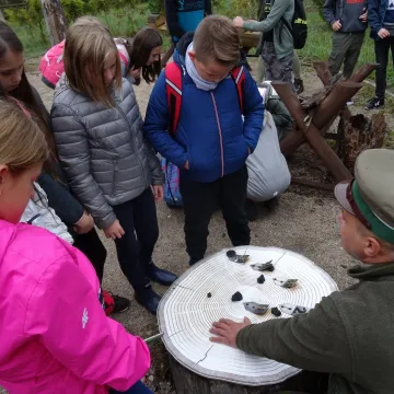 „Droga śmiecia” w Reymontówce na Bugaju