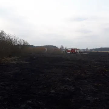 Spłonęły łąki i nieużytki rolne
