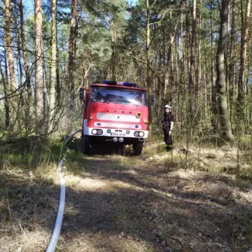W Myśliwczowie palił się hektar poszycia leśnego