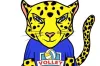Volley Radomsko zbiera pieniądze na Geparda Quickera - klubową maskotkę