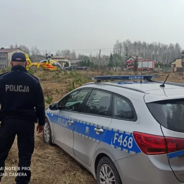 Lipie: Drzewo upadło na mężczyznę