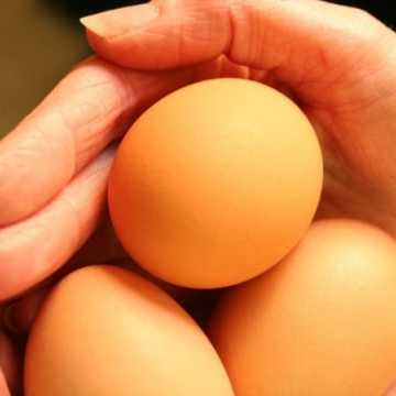 Jajka w Radomsku są bezpieczne