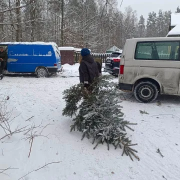 II edycja „choinkobrania” w Radomsku