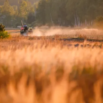 Edukacja i inspiracja Foto Pozytyw
