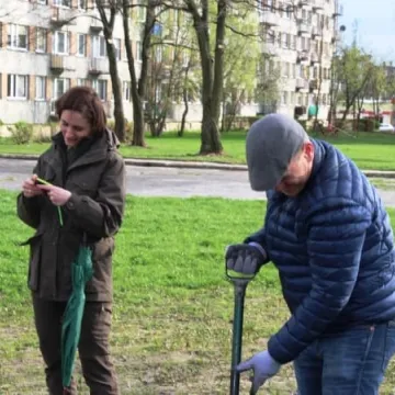 Samorządowcy z Platformy Dialogu sadzili drzewa