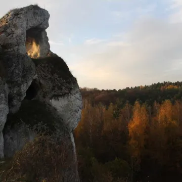 Edukacja i inspiracja Foto Pozytyw