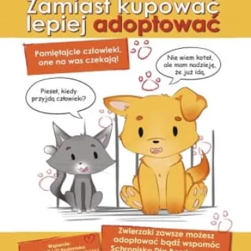 Adoptuj zwierzaka