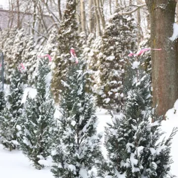 Teren przy DPS zyskał nowe oblicze