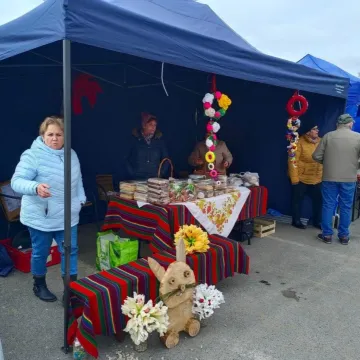 Zapachniało kolorową wiosną na parkingu przed Starostwem Powiatowym w Radomsku
