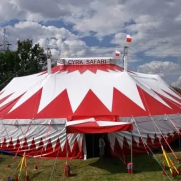 Zgarnij wejściówkę do Cyrku Safari