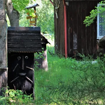 Zdobyli fotograficzne szlify