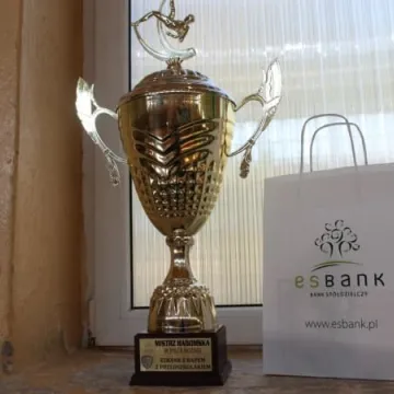 Przedszkole nr 3 zwycięzcą Turnieju w Piłce Nożnej