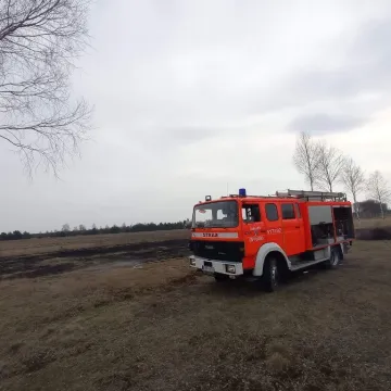 Pożar suchej trawy w miejscowości Górki