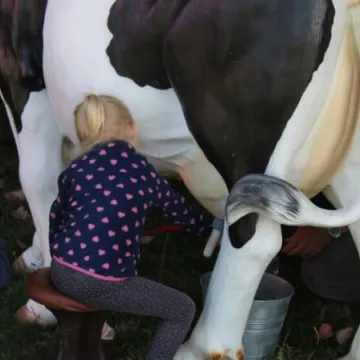 Piknik Kolorami Miasta w parku Solidarności