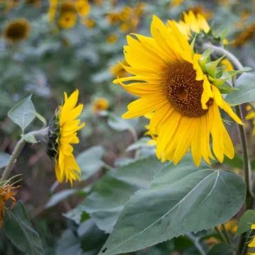 Edukacja i inspiracja Foto Pozytyw
