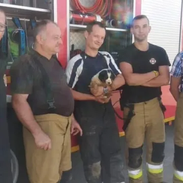 Strażacy z Kamieńska uratowali uwięzionego pieska