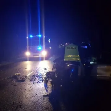 Koń wbiegł na jezdnię