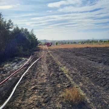 Strażacy gasili las i ściernisko w Białej Górze. Przyczyną ognia - podpalenie