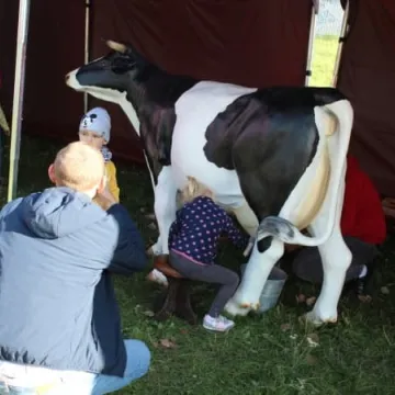 Piknik Kolorami Miasta w parku Solidarności