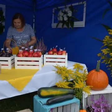 V Powiatowy Dzień Organizacji Pozarządowych