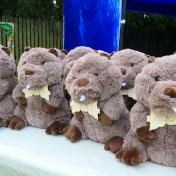 Na Bobrach pobiegli dla Krzysia Biernatowicza