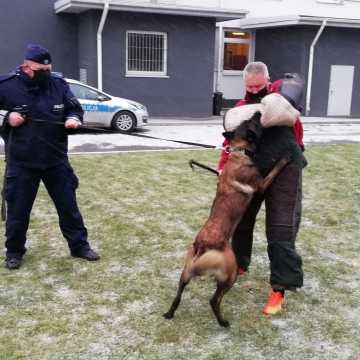 Nowy pies policyjny w szeregach radomszczańskiej komendy