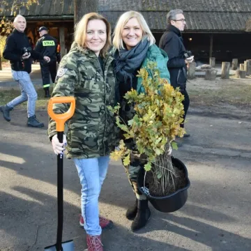 Wspólnie sadzili las