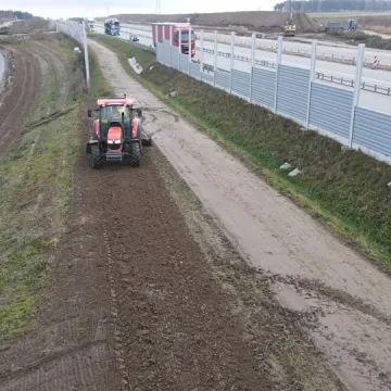 Łąka kwietna powstaje przy A1 niedaleko Radomska