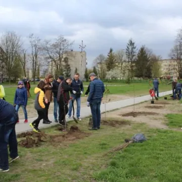 Samorządowcy z Platformy Dialogu sadzili drzewa