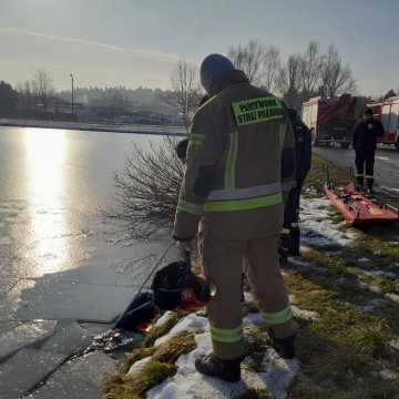 Człowiek pod wodą! Ćwiczenia ratownicze strażaków z Radomska na Folwarkach