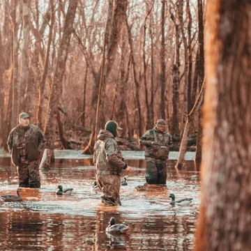 Polowania w Polsce – tradycja, prawo i współczesność