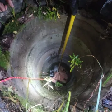 Strażacy uratowali psa i lisa uwięzionych w studni